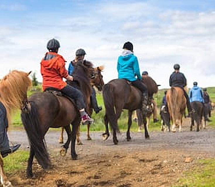 Read more about the article Riding a horse in Ooty